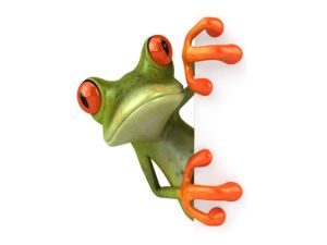 free-frog-3d-wallpaper-for-desktop_640x480_81218