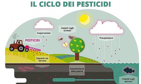pesticidi-ciclo